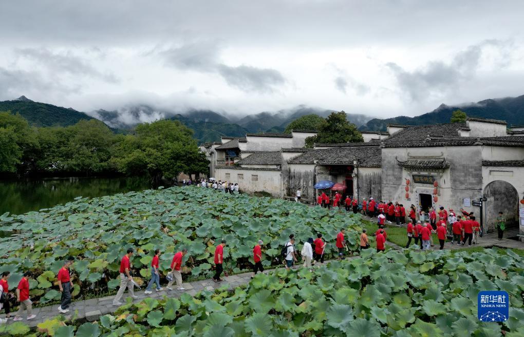 白菜送彩金大全